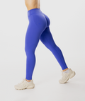 Unified  Seamless Leggings
