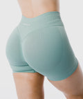 Amplify Seamless Shorts
