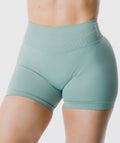 Amplify Seamless Shorts